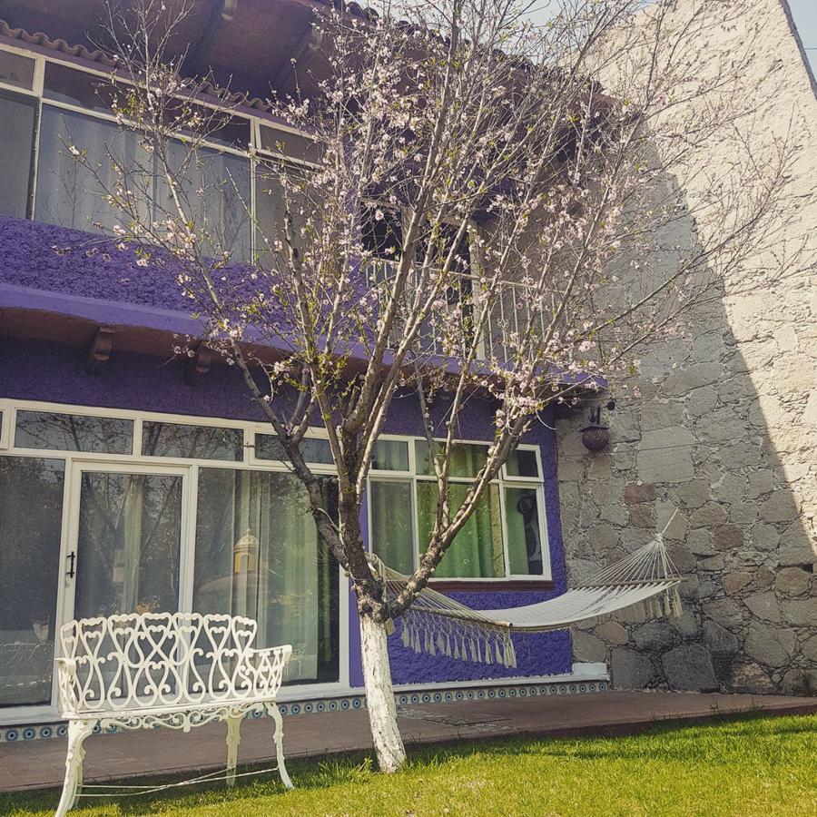 Mi Hotel Текуискуиапан Екстериор снимка